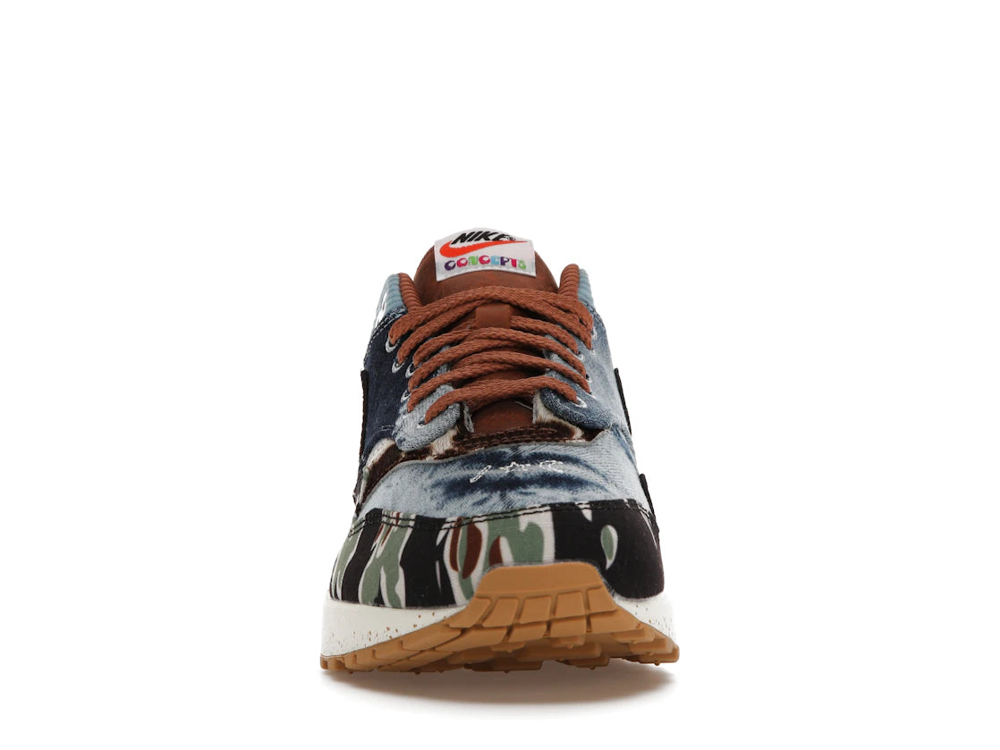 Nike Air Max 1 SP Concepts Heavy